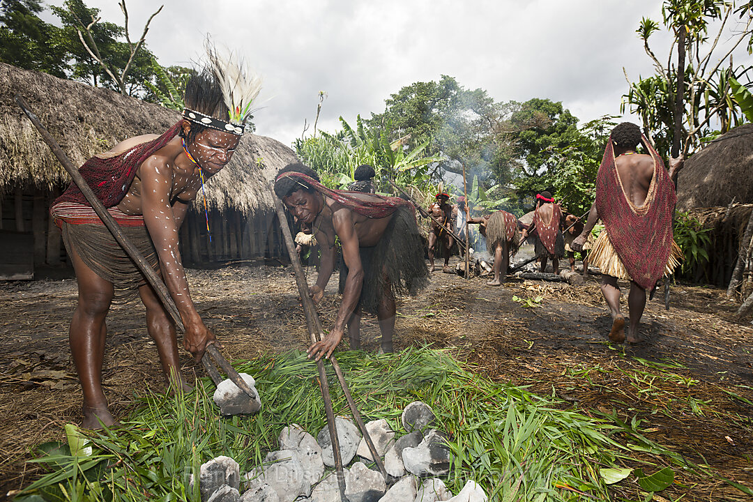 Dani Stamm erhitzt Steine fuer Erdofen, Baliem Valley, West Papua, Indonesien