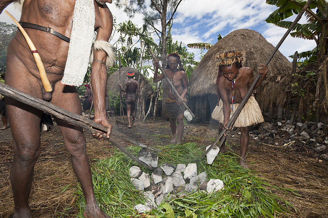 Dani Tribe heat Stones in Fire for Earth Oven