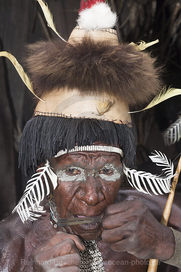 Warrior of Dani Tribe