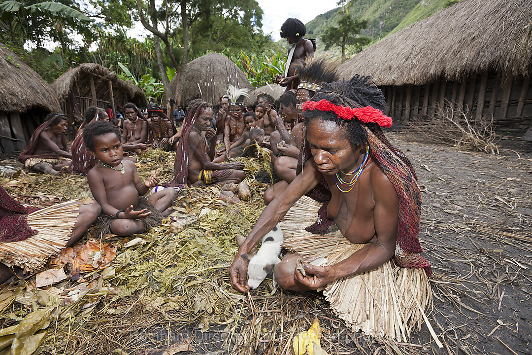 Schweinefest in Dani Dorf, Baliem Valley, West Papua, Indonesien