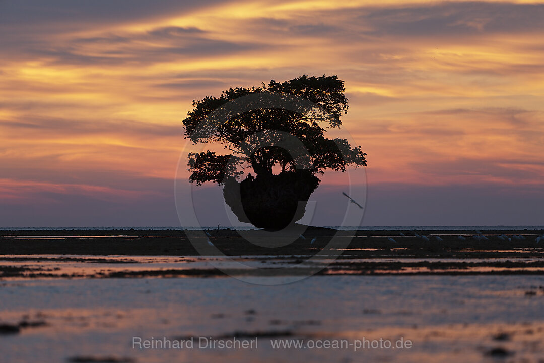 Sunset at Cenderawasih Bay