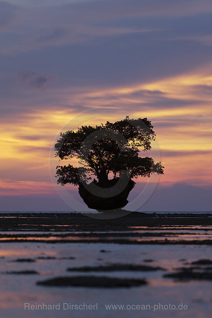 Sonnenuntergang in der Cenderawasih Bucht, West Papua, Indonesien