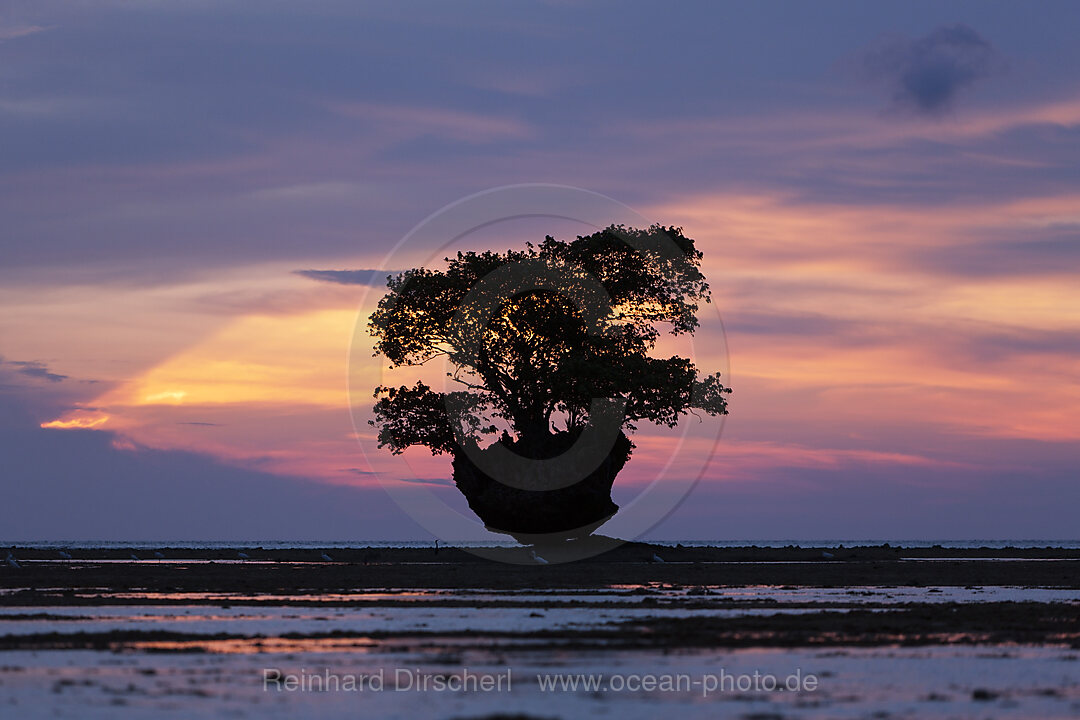 Sunset at Cenderawasih Bay