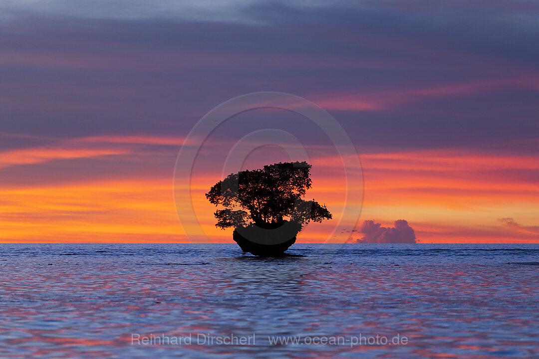Sunset at Cenderawasih Bay