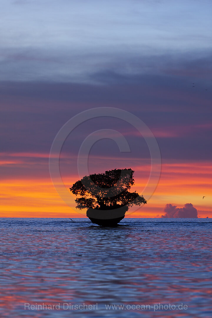 Sunset at Cenderawasih Bay