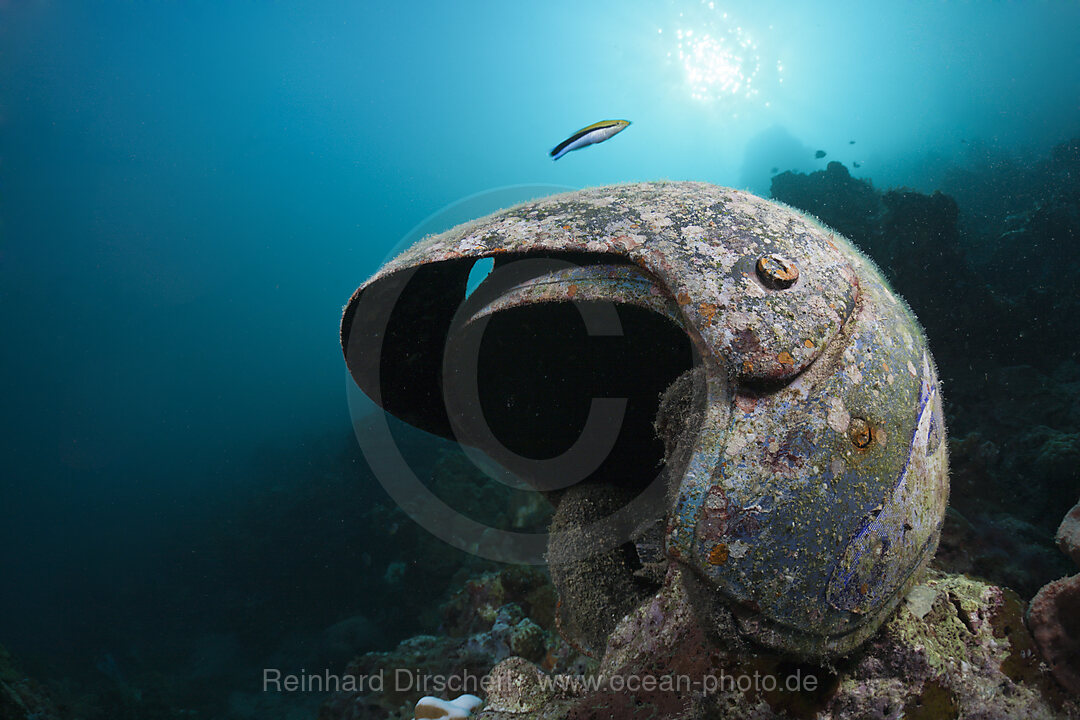 Motorcycle Helmet at Ahe Housreef, Cenderawasih Bay, West Papua, Indonesia