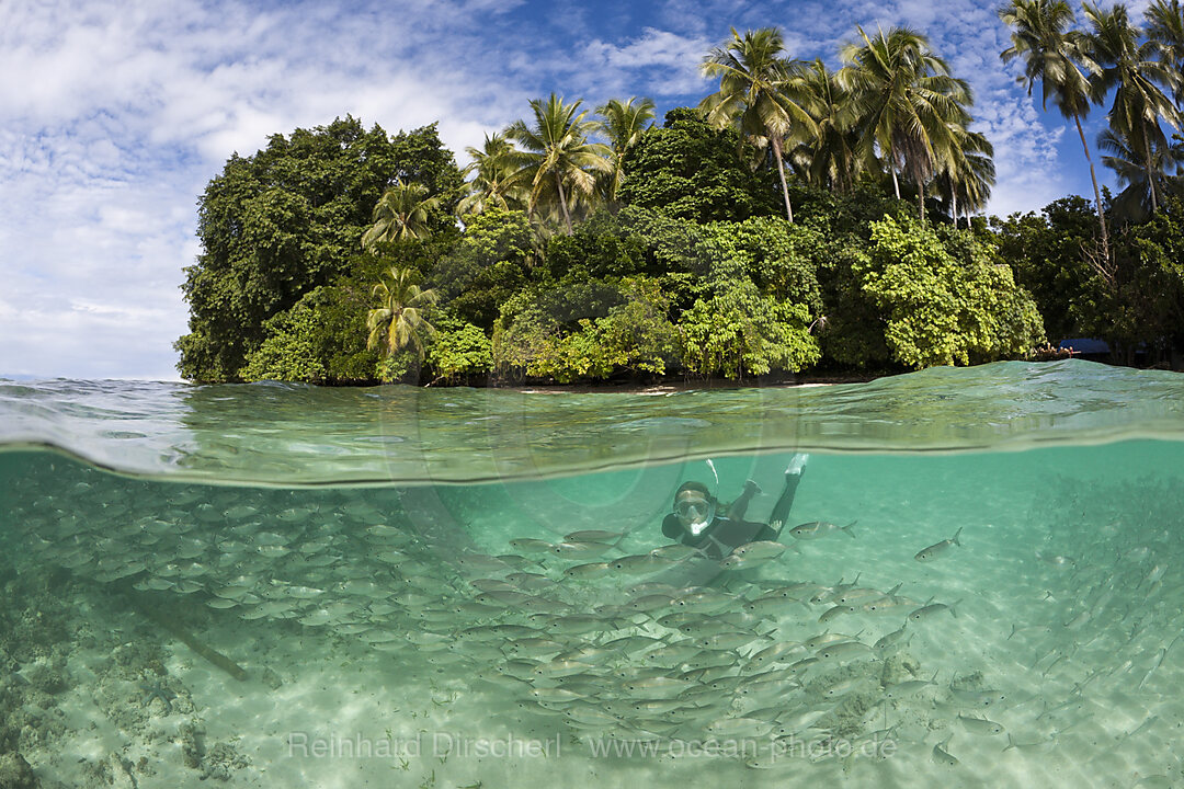 Snorkeling in Lagoon of Ahe Island, Cenderawasih Bay, West Papua, Indonesia