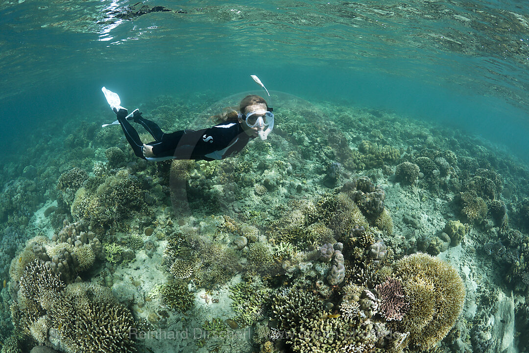 Snorkeling in Lagoon of Ahe Island