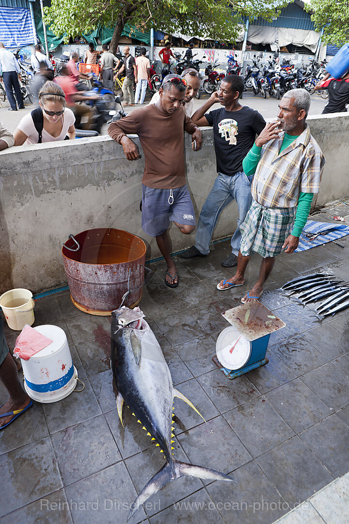 Fischmarkt von Male