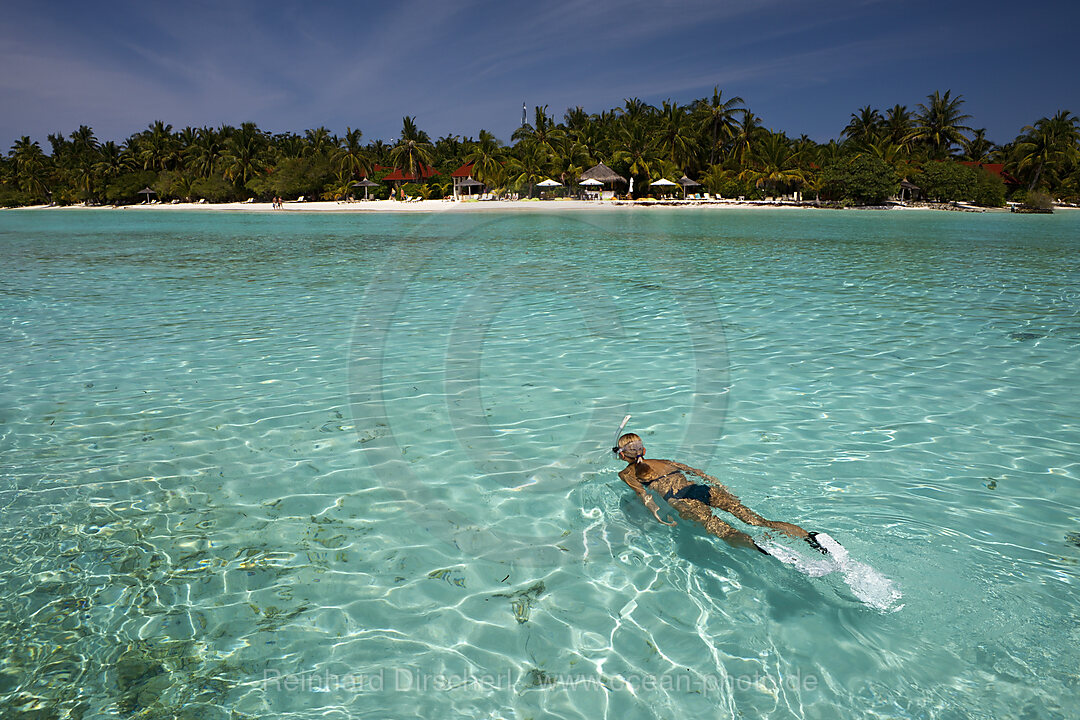 Schnorcheln vor Kurumba, Nord-Male Atoll, Indischer Ozean, Malediven