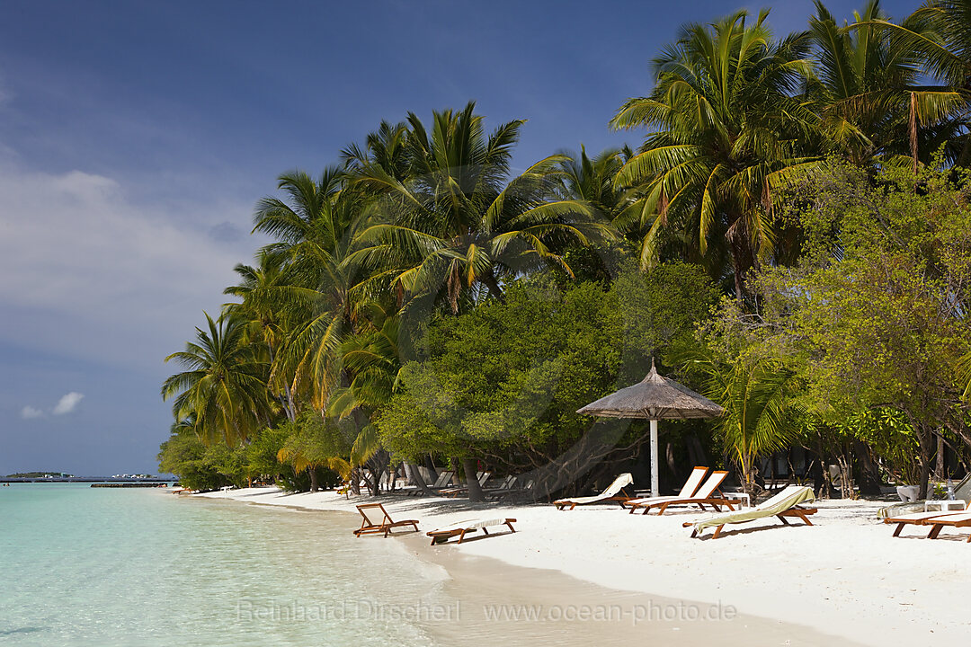 Beach of Kurumba Island