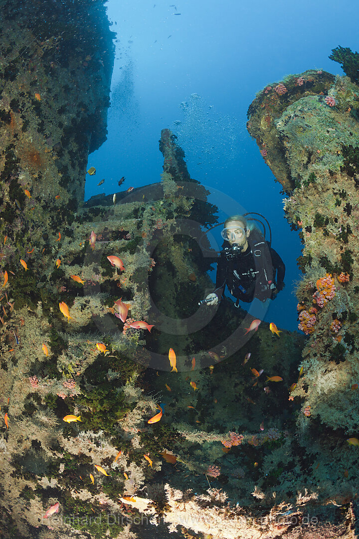 Scuba Diver over Cargo Space of Maldive Victory Wreck