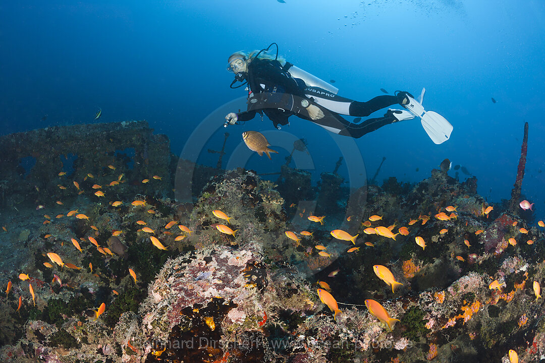 Scuba Diver at Stern of Maldive Victory Wreck
