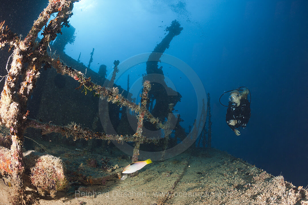 Taucher am Wrack Maldive Victory, Nord-Male Atoll, Indischer Ozean, Malediven