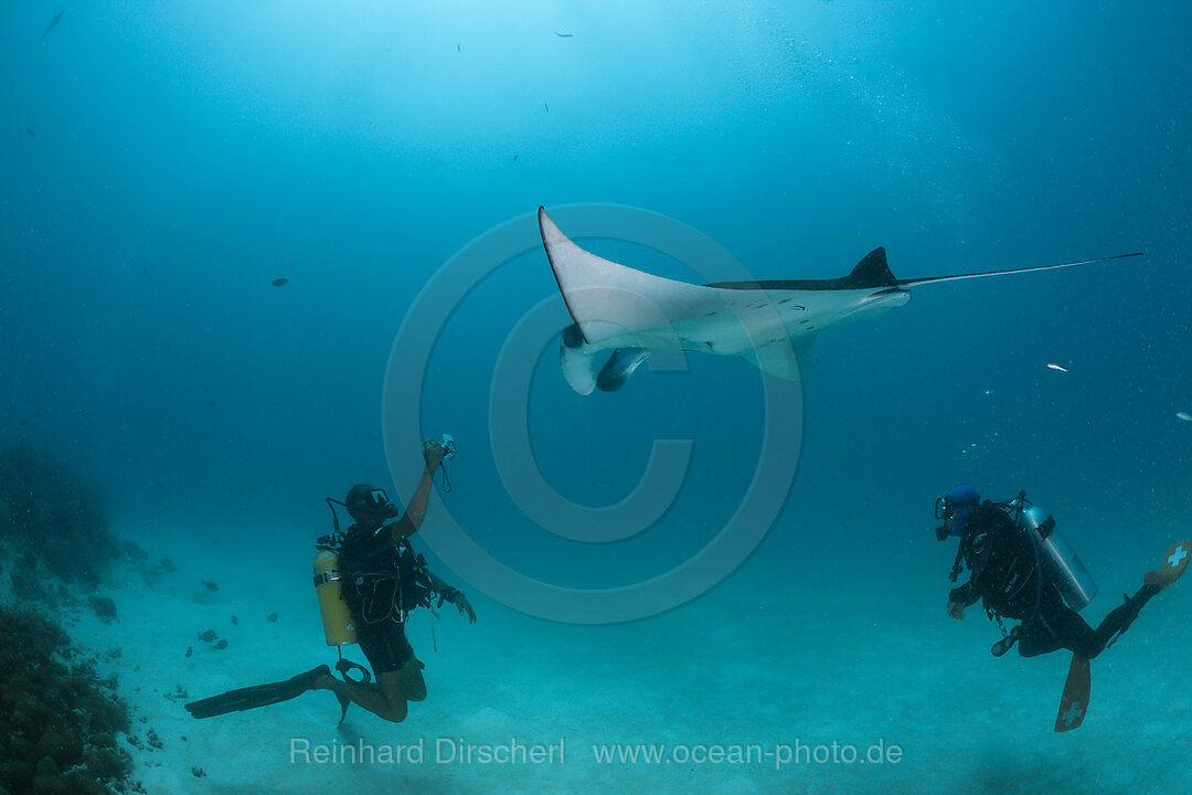 Taucher fotografiert Manta, Manta birostris, Hanifaru Bucht, Baa Atoll, Malediven