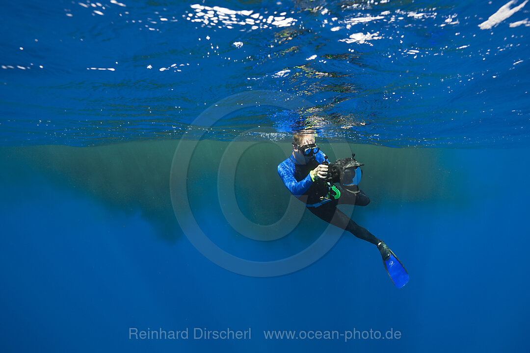 Schnorchler schwimmen in Ausscheidungen von Pottwal