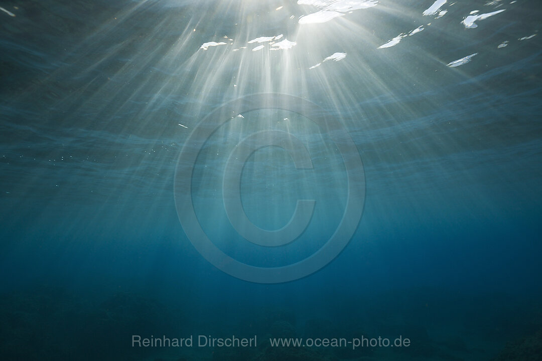 Sunbeams filtering through Water Surface