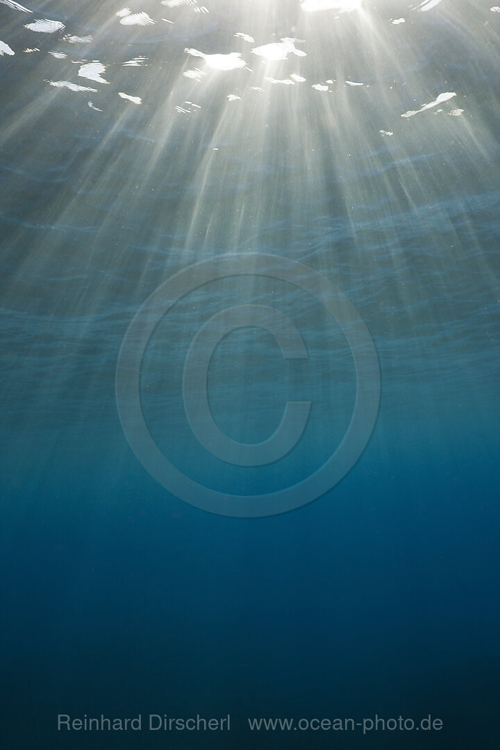 Sunbeams filtering through Water Surface