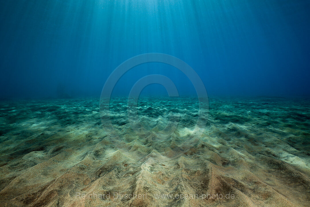 Sunbeams filtering through Water Surface