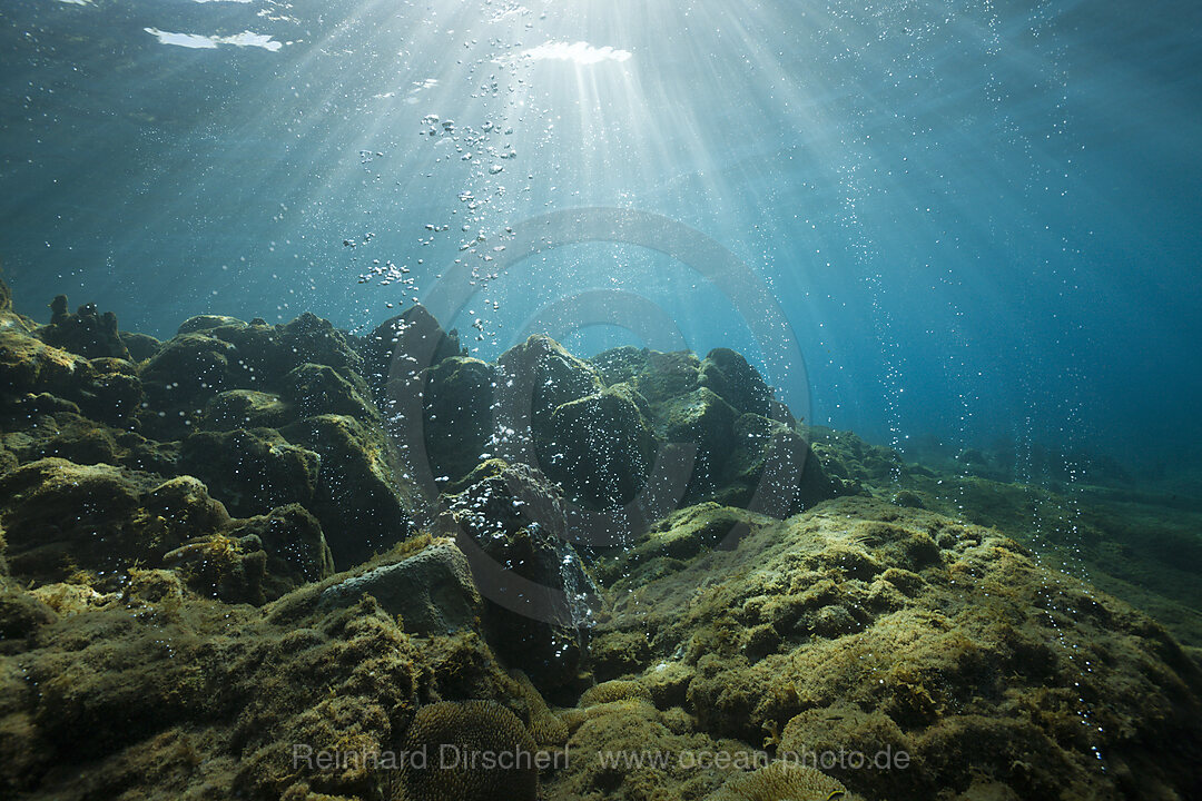 Volcanic Air Bubbles at Champagne Beach