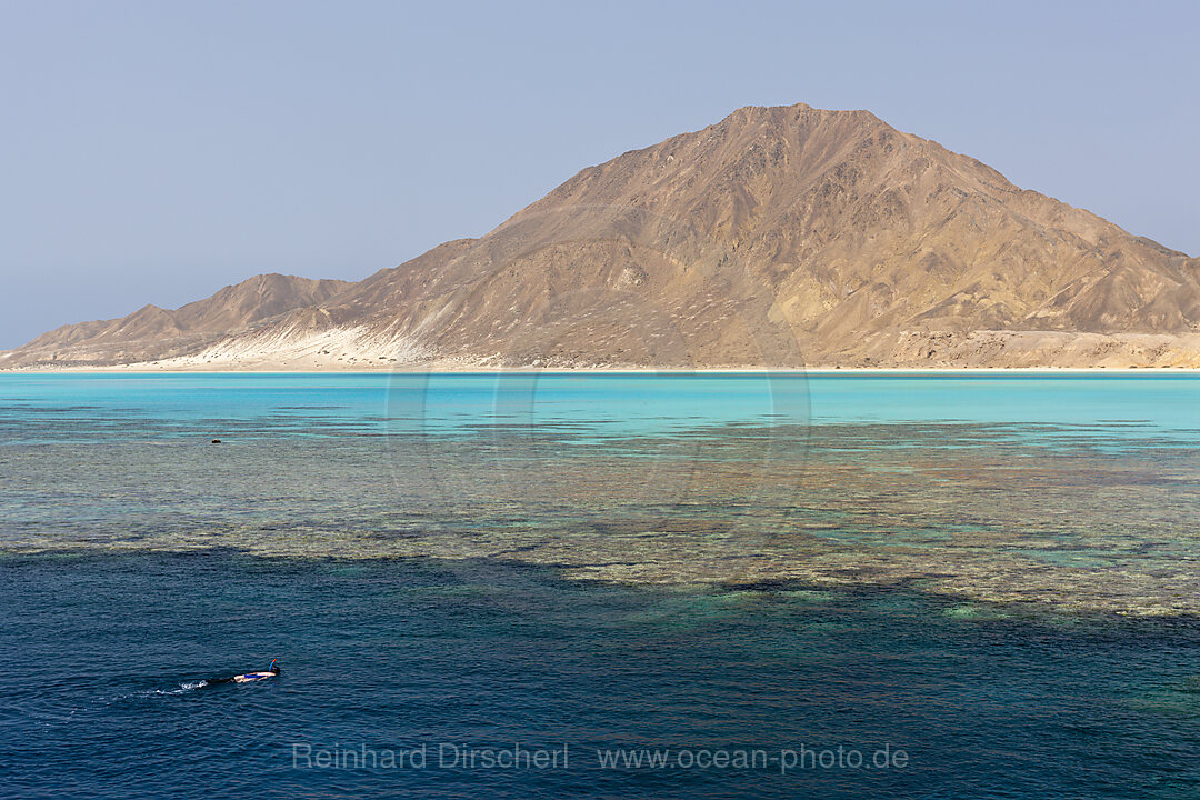 Reefs of Zabargad Island