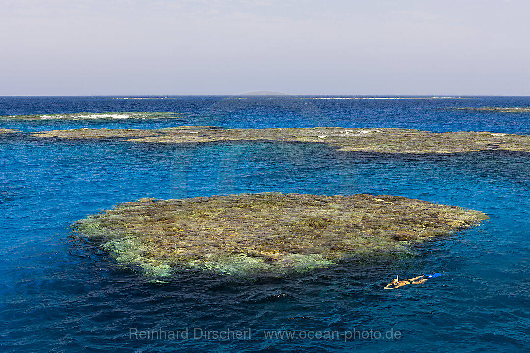 Riffe bei Zabargad, n/a, Rotes Meer, Aegypten