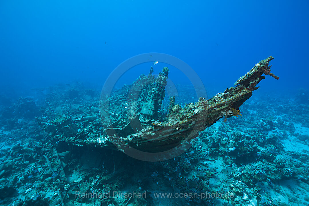 Bug des Heaven One Wrack, n/a, Abu Dabab, Rotes Meer, Aegypten