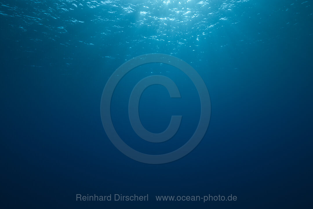 Blick zur Wasseroberflaeche