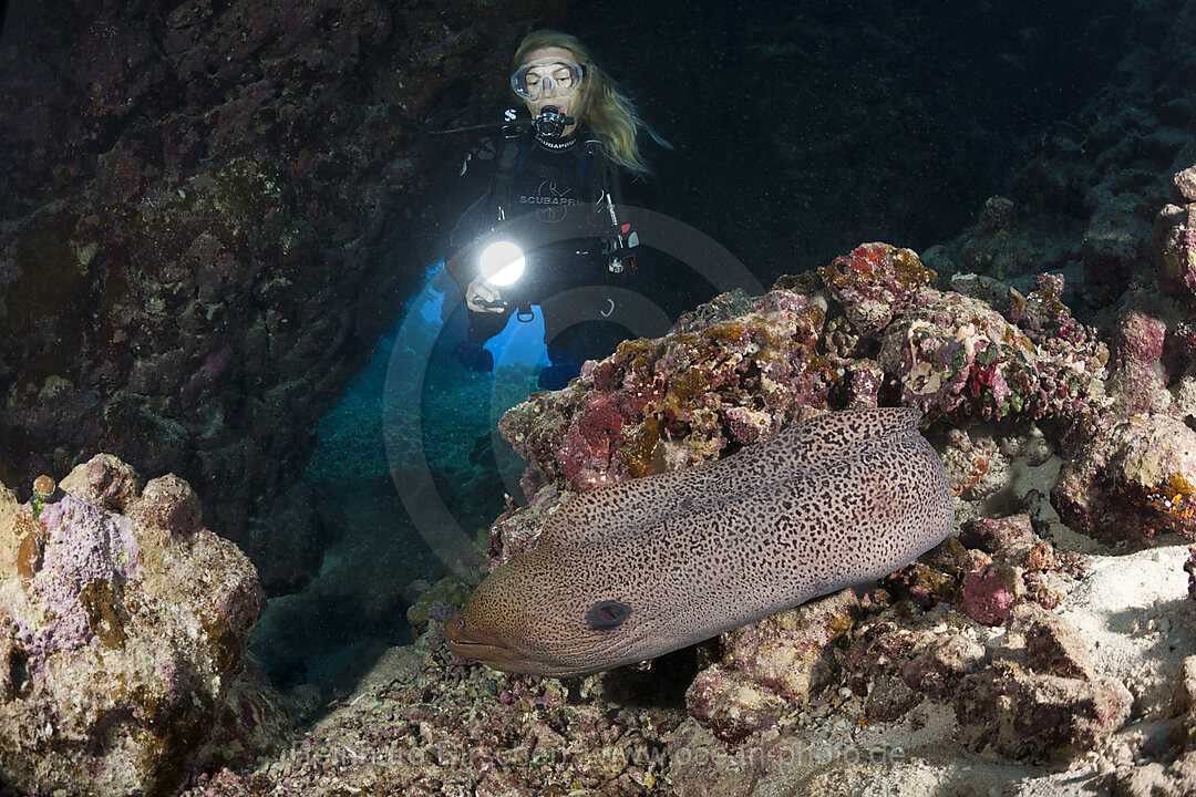 Taucher in Unterwasserhoehle, n/a, Paradise Reef, Rotes Meer, Aegypten