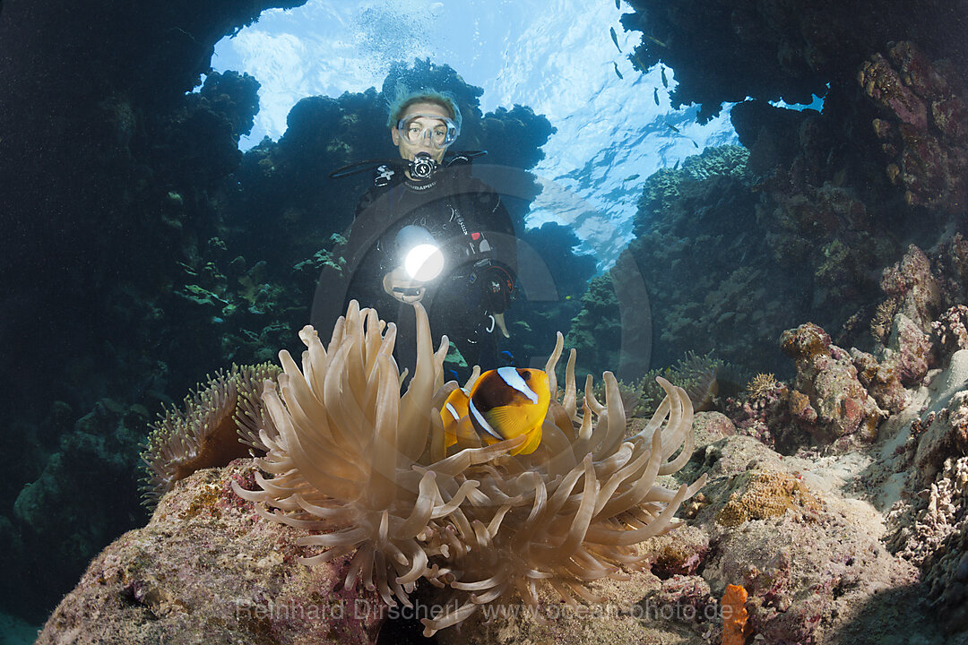 Taucher in Unterwasserhoehle, n/a, Paradise Reef, Rotes Meer, Aegypten