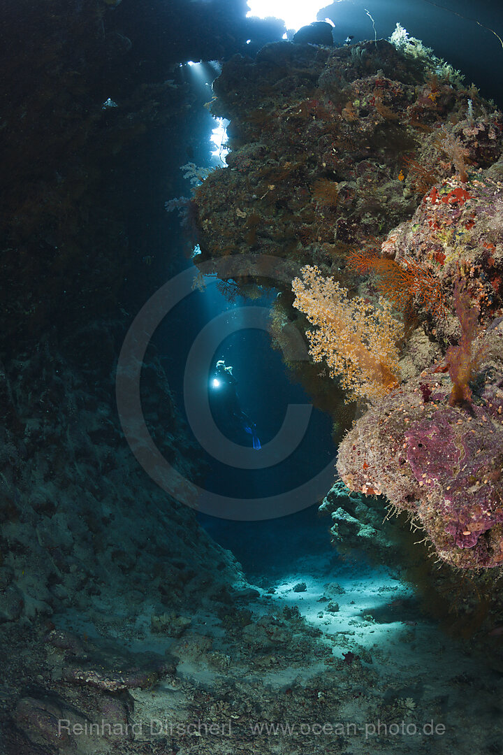 Taucher in Unterwasserhoehle, n/a, Cave Reef, Rotes Meer, Aegypten