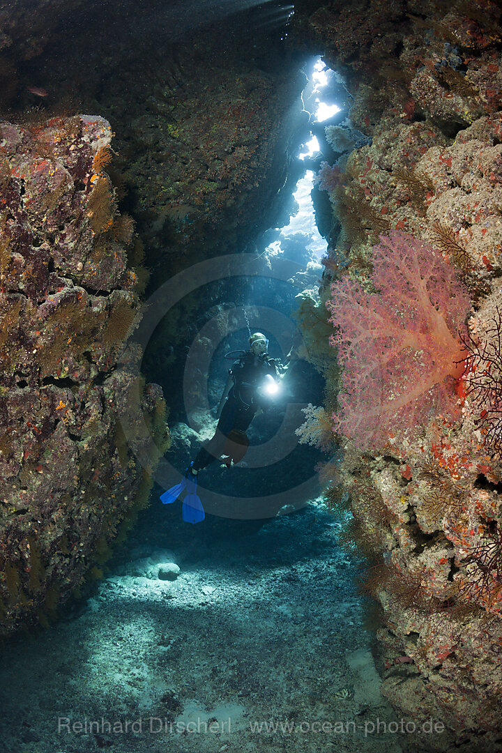 Taucher in Unterwasserhoehle, n/a, Cave Reef, Rotes Meer, Aegypten