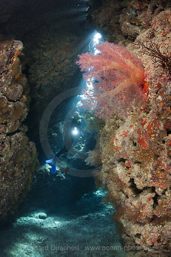 Taucher in Unterwasserhoehle, n/a, Cave Reef, Rotes Meer, Aegypten