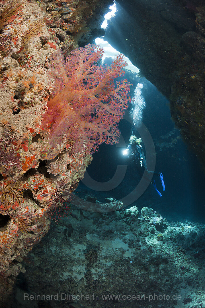 Taucher in Unterwasserhoehle, n/a, Cave Reef, Rotes Meer, Aegypten