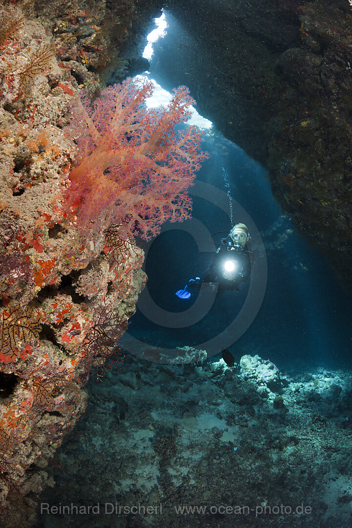 Taucher in Unterwasserhoehle, n/a, Cave Reef, Rotes Meer, Aegypten