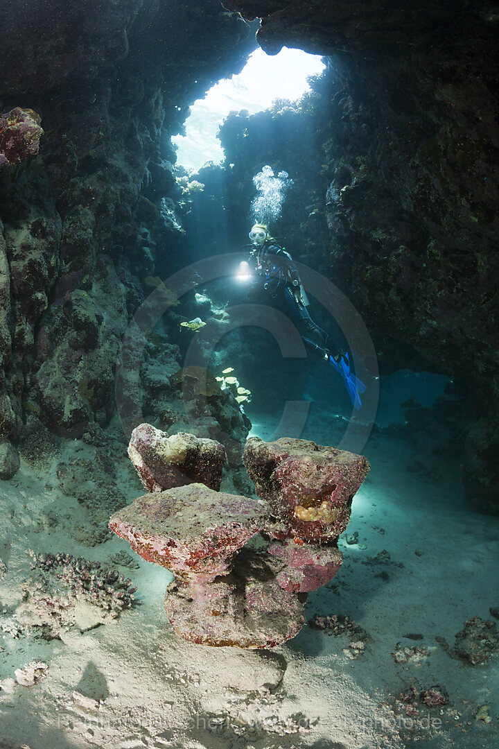 Taucher in Unterwasserhoehle, n/a, Cave Reef, Rotes Meer, Aegypten