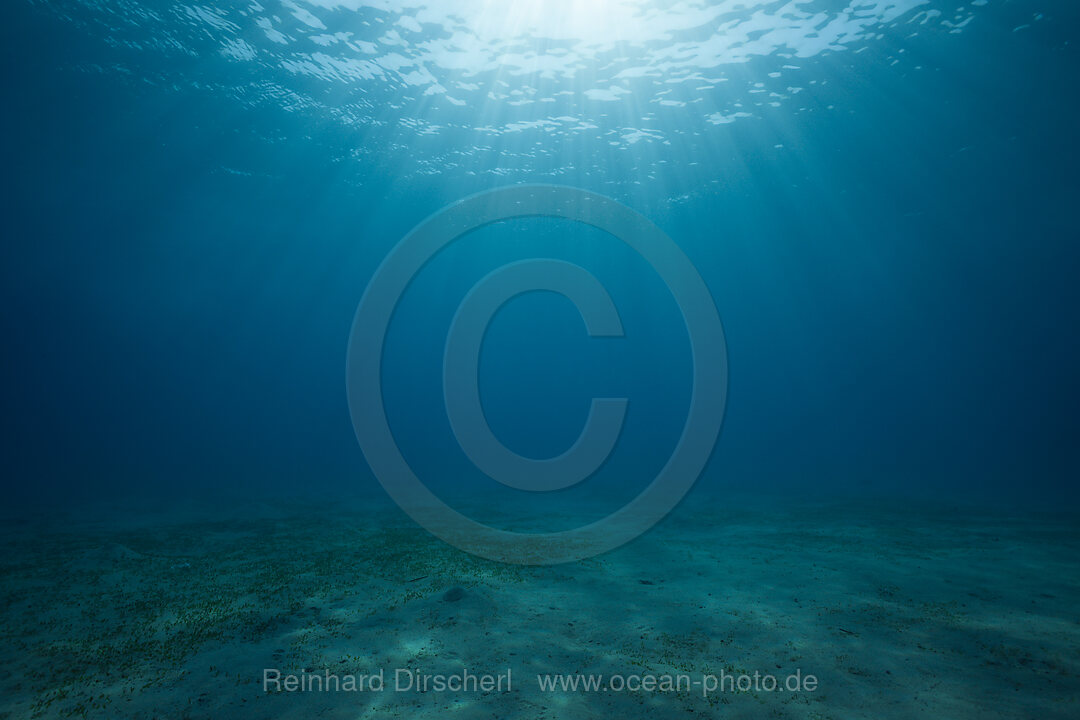 Blick zur Wasseroberflaeche, n/a, Marsa Alam, Rotes Meer, Aegypten