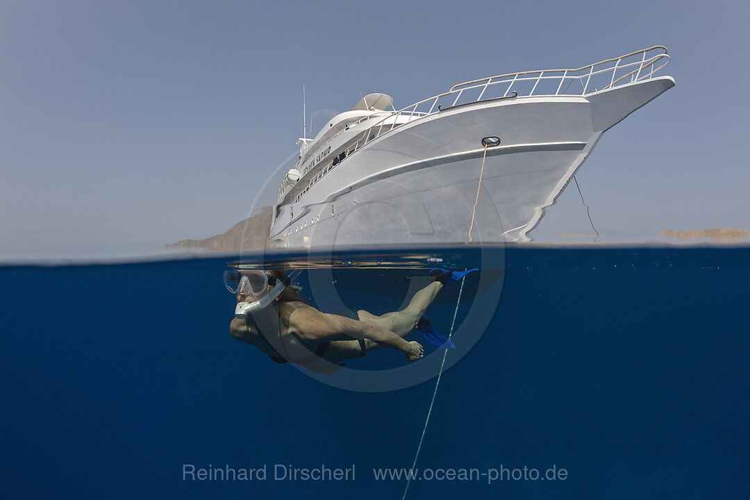 Snorkeler and Liveaboard, n/a, Zabargad, Red Sea, Egypt