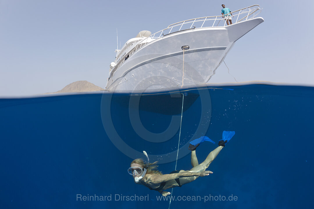 Snorkeler and Liveaboard