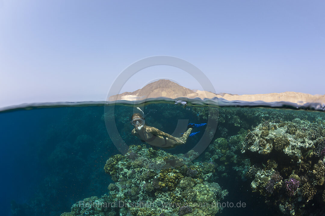 Schnorcheln im Roten Meer, n/a, Zabargad, Rotes Meer, Aegypten