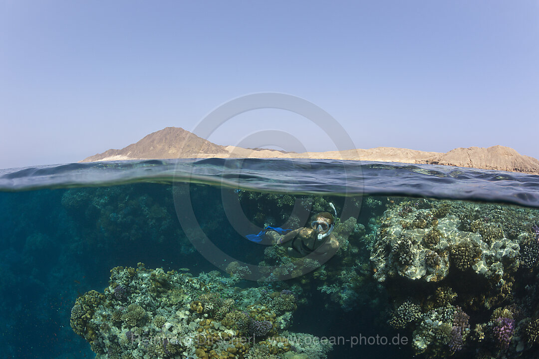 Skin Diving in Red Sea