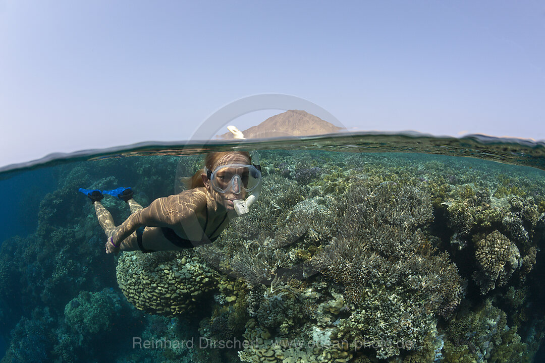 Skin Diving in Red Sea, n/a, Zabargad, Red Sea, Egypt