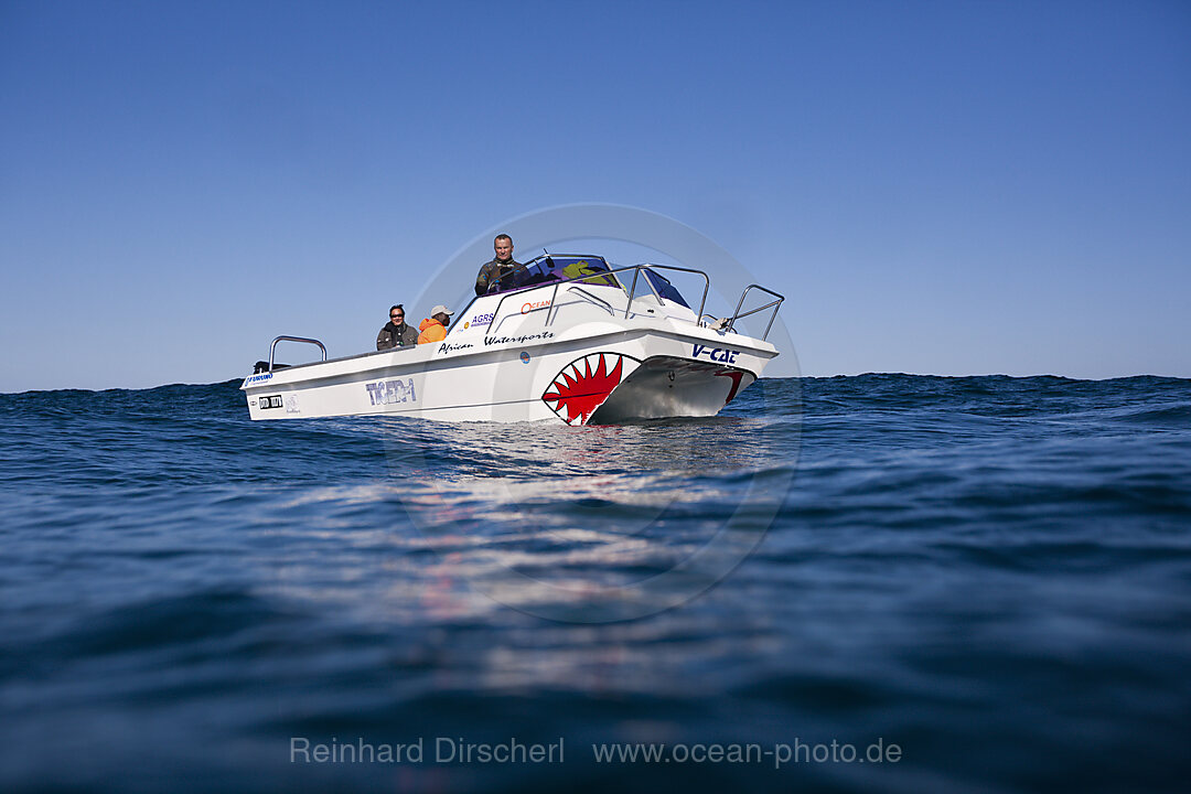 Diving Boat Sardine Run