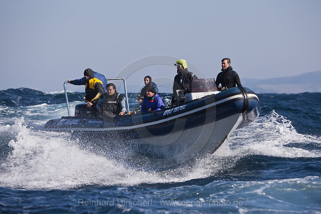 Diving Boat Sardine Run