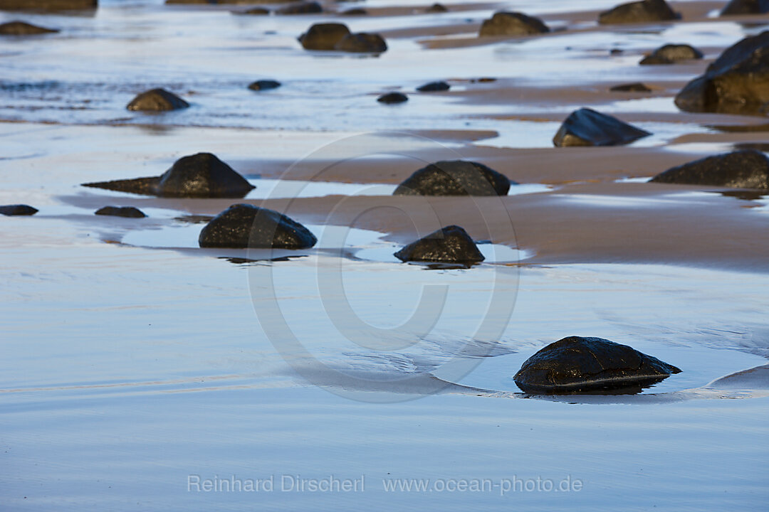 Impressions of Wild Coast, n/a, Eastern Cap, South Africa