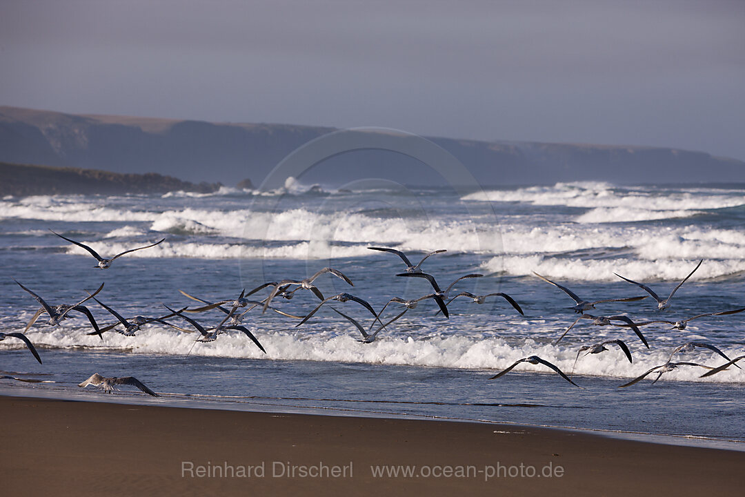 Impressionen der Wild Coast