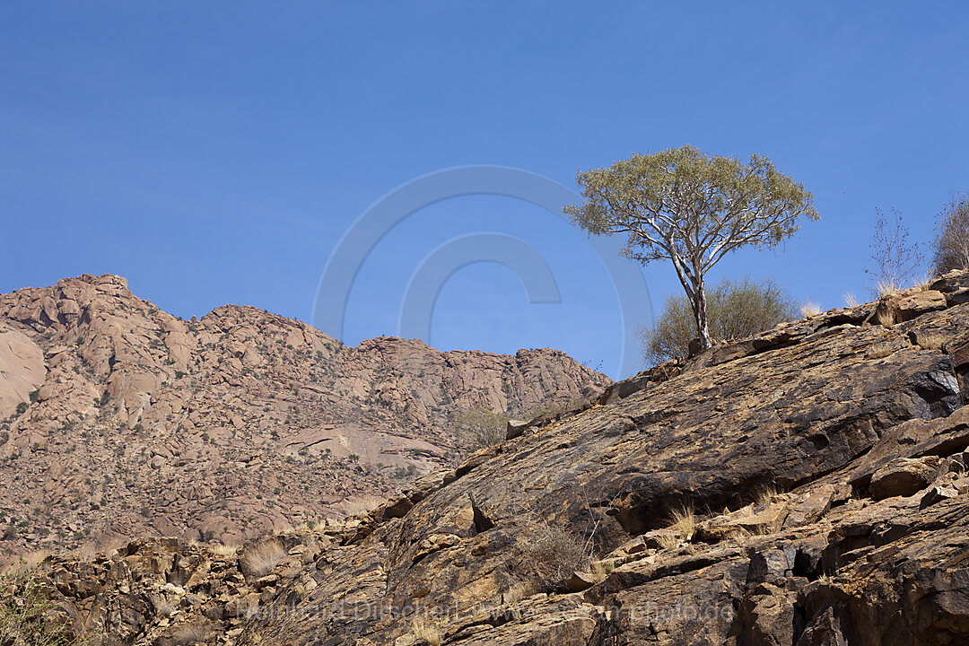 Impressions of Tsisab Ravine Valley
