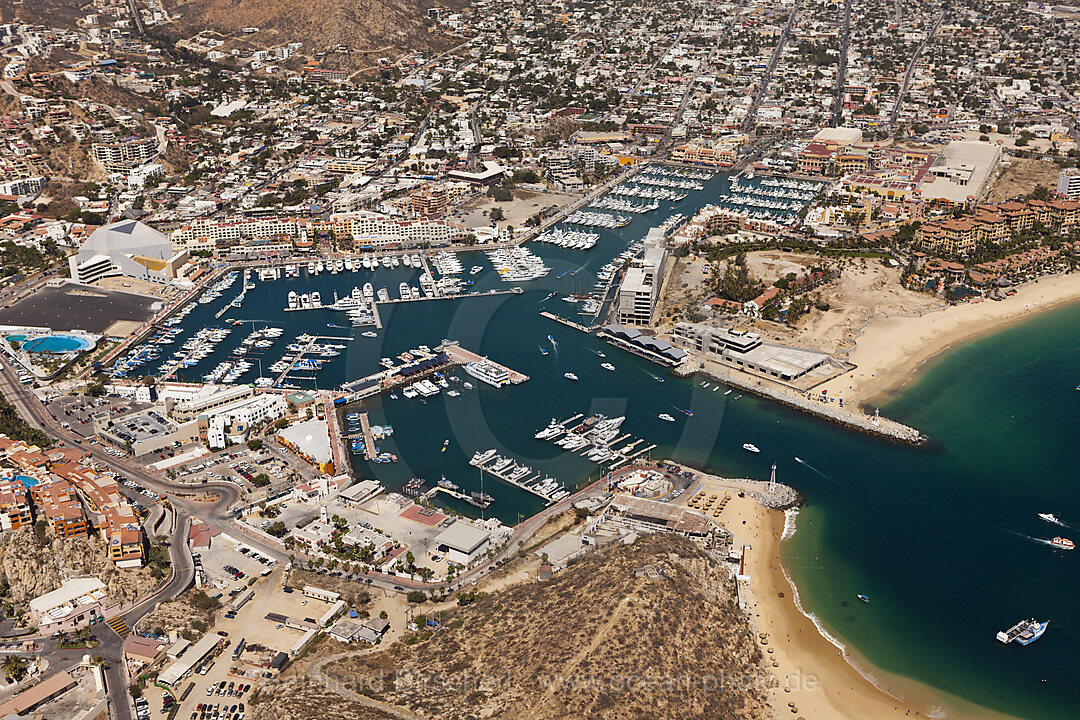 Harbour of Cabo San Lucas