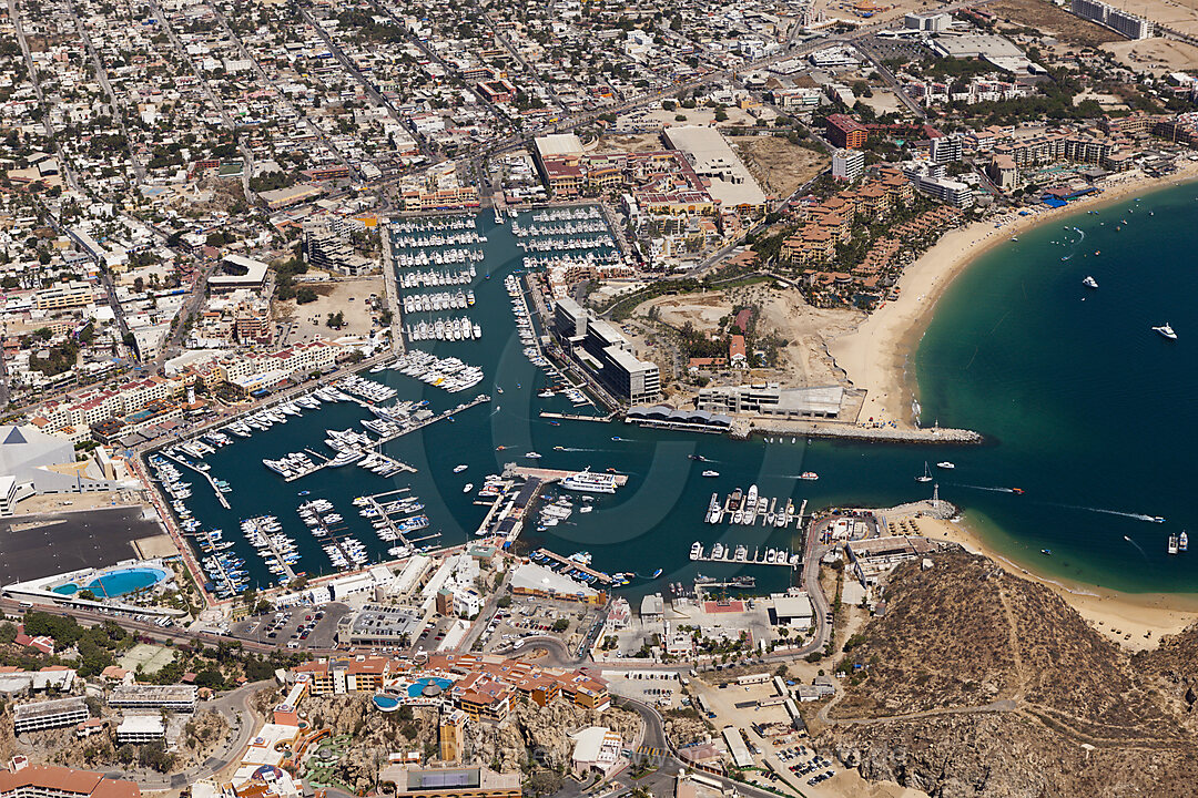Harbour of Cabo San Lucas