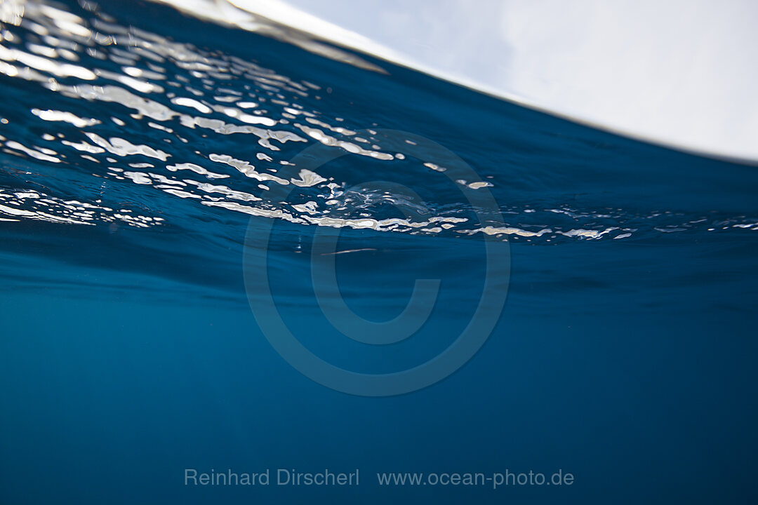 View to Water Surface